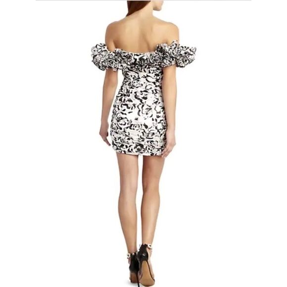 ALEXANDRE VAUTHIER Black And White Ruffled Mini Dress - Picture 6 of 13